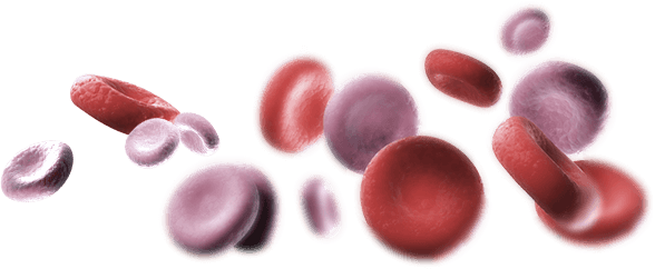 blood cells