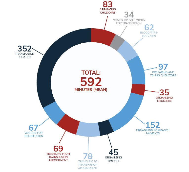 Pie chart showing daily time spent (in minutes) on TDT management activities on transfusion days