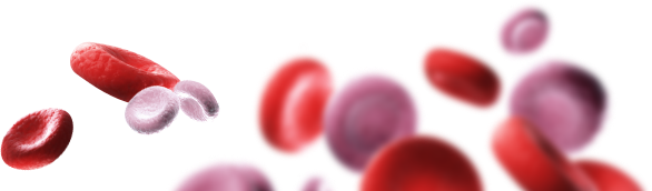 blood cells
