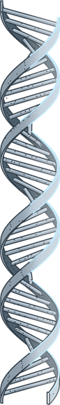 Image of a DNA strand