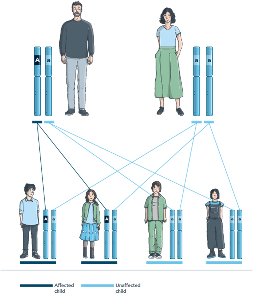 Example of autosomal dominant inheritance