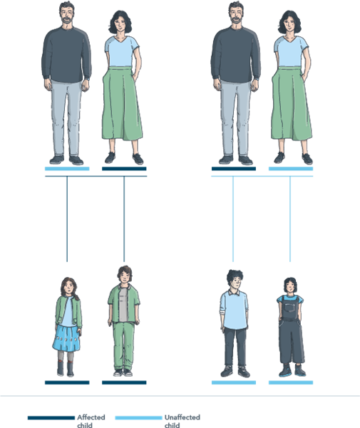 Example of mitochondrial inheritance