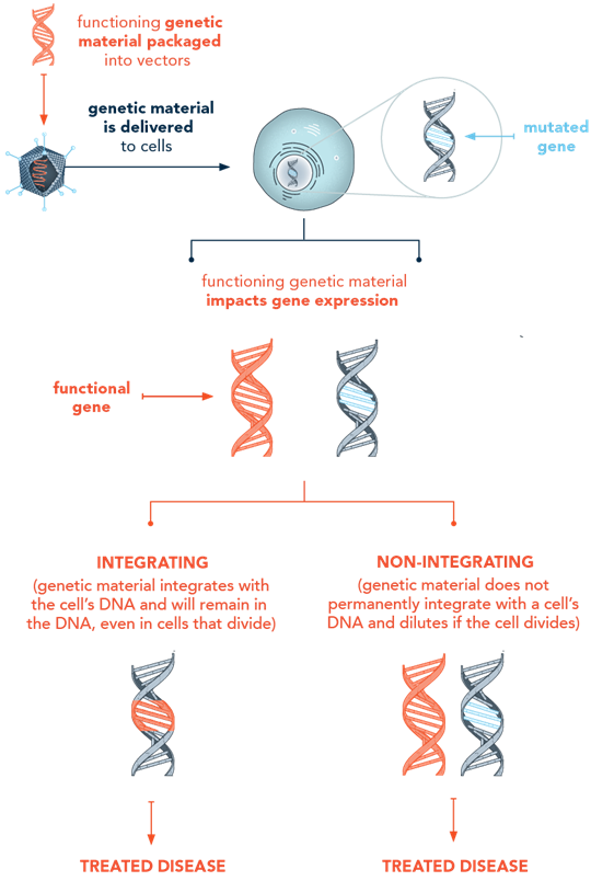 Image of gene addition therapy