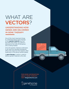 What Are Vectors booklet