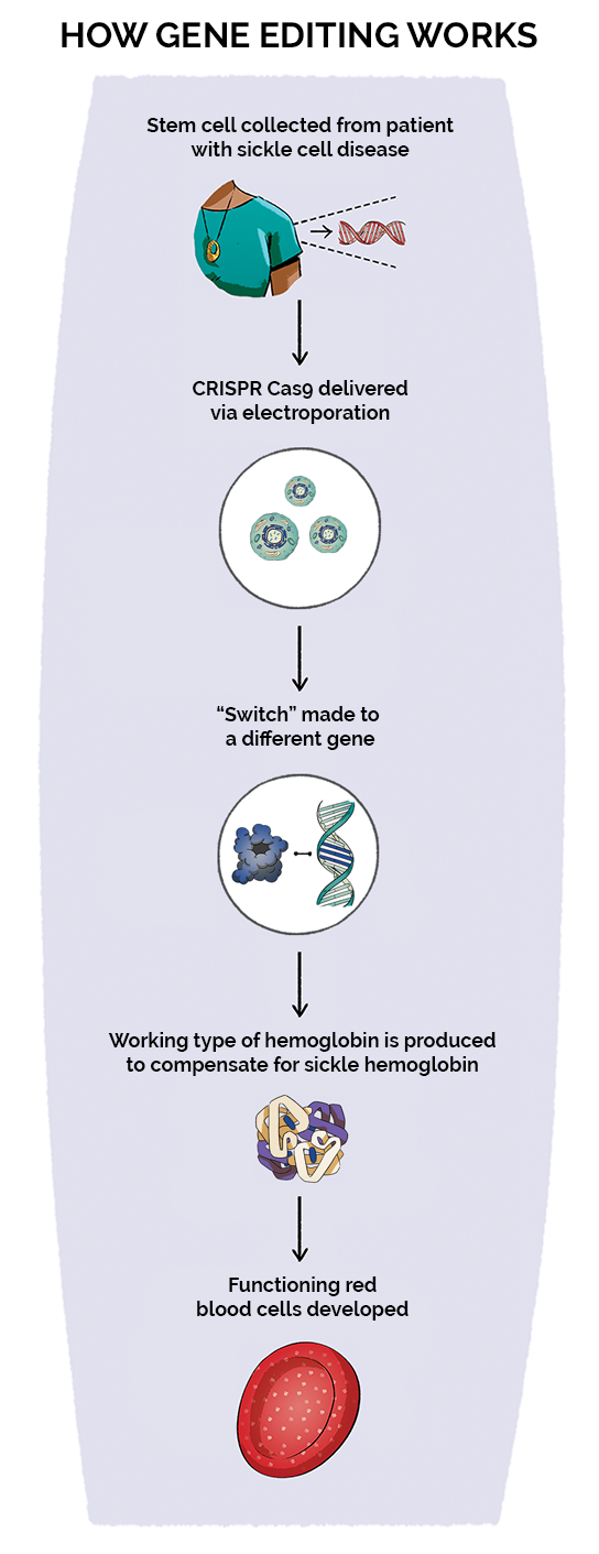 How does gene editing work for sickle cell disease