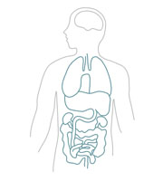 Proteins are required for the structure, function, and regulation of your body’s tissues and organs