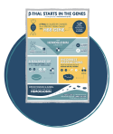 Beta Thalassemia Causes Infographic