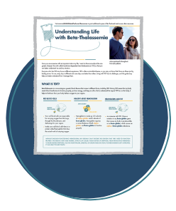 Explaining Beta Thalassemia Flashcard