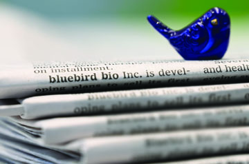 bluebird charm sitting on top of a stack of newspapers